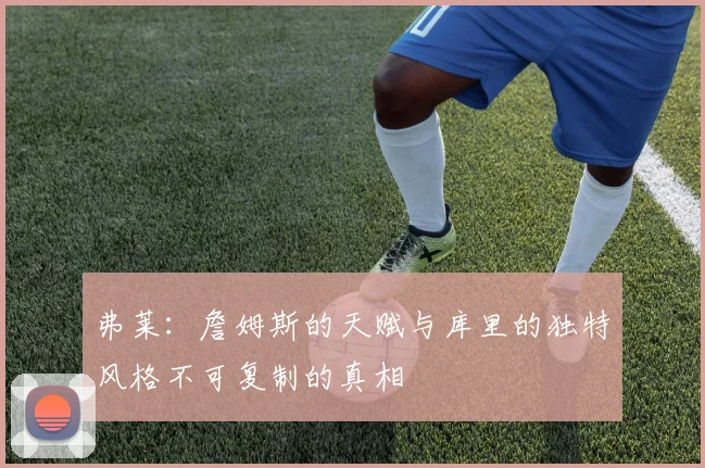 弗莱：詹姆斯的天赋与库里的独特风格不可复制的真相