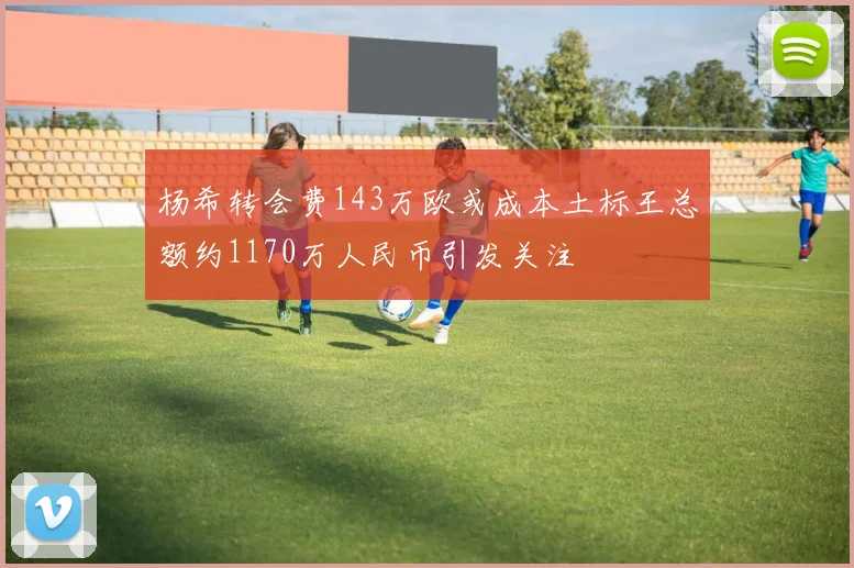 杨希转会费143万欧或成本土标王总额约1170万人民币引发关注