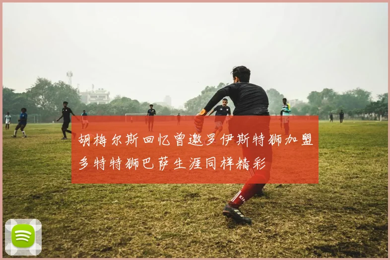 胡梅尔斯回忆曾邀罗伊斯特狮加盟多特特狮巴萨生涯同样精彩